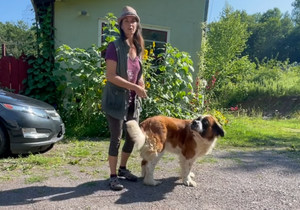 Leash Walking Training For Dogs That Are ALWAYS Pulling!