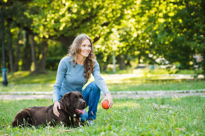 12 Pawfect Ways to Celebrate Mother's Day with Your Beloved Pooch