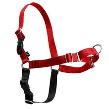 Easy Walk Harnesses