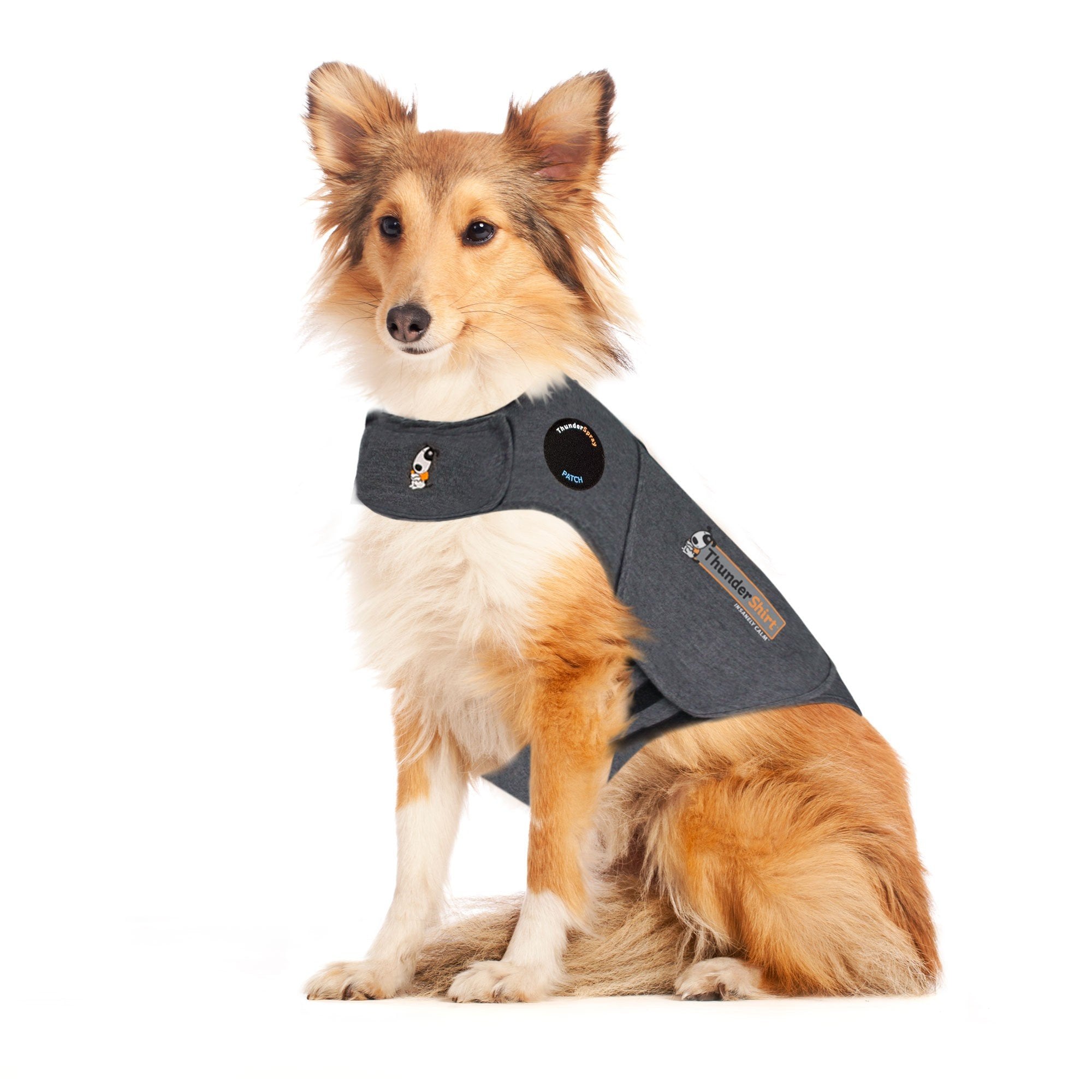 Dog Jackets