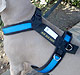 Soft Dog Harness