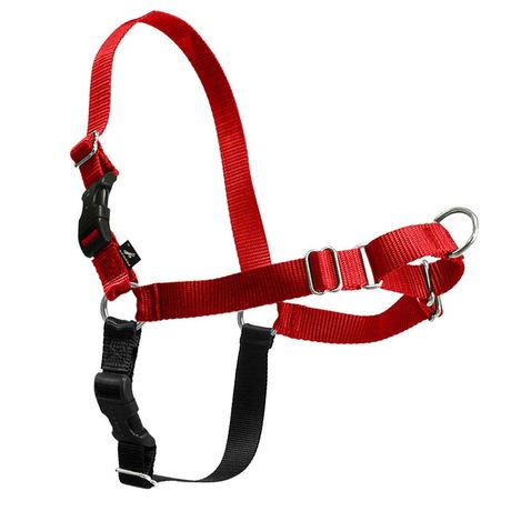 Dog Harnesses