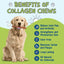 Pet Expertise™ Collagen Subscription (FREE Shipping)