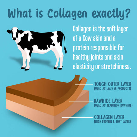 6 Inch Medium Beef Collagen Sticks