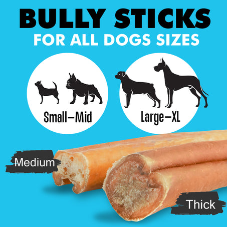 Single Bully Sticks for Dogs, Free-Range. X-Thick & Low Odor Options!