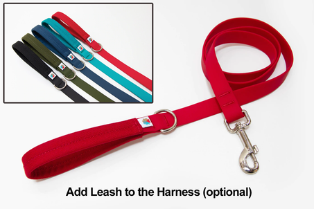 Wildebeest Funston Dog Leash colors