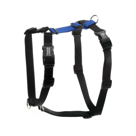 Balance Harness-Black-Blue