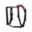 Balance Harness-Black-Red