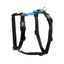 Balance Harness-Black-SkyBlue