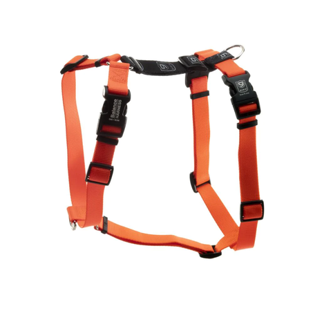 Balance Harness-Orange