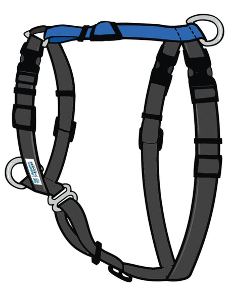 Balance Harness