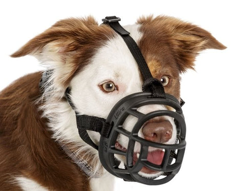 Baskeville Ultra dog muzzle Black