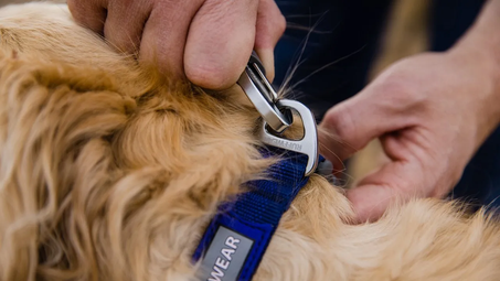 Front Range Collar Key Feature Strong Connection