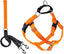 Harness and Leash Color Neon Orange