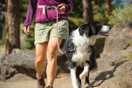 Ruffwear Knot-a-Leash in action