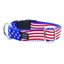 Stars and Strips dog collar