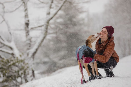 Ruffwear Overcoat in Action