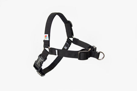 Wildebeest No Pull Harness Black