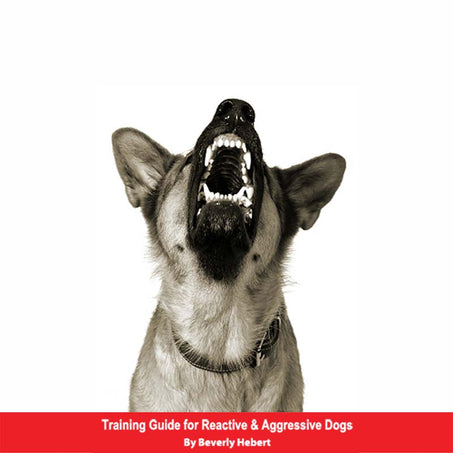 Aggressive Dog E-Book