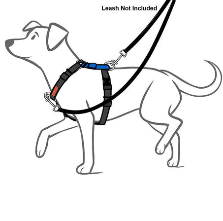 Balance No-Pull Harness