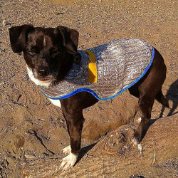 Chillybuddy Dog Cooling Vest for Summer