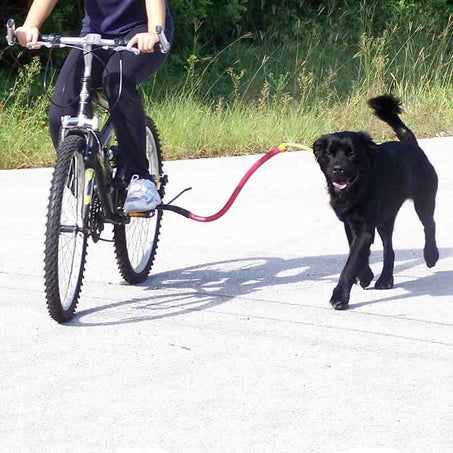 Bike Tow Leash Dog Bicycle Attachment