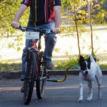 Bike Tow Leash in action