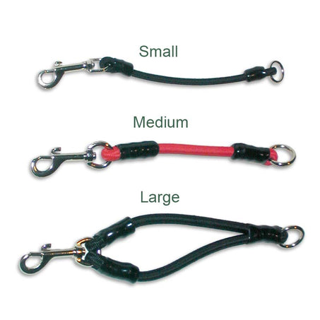 Bungee Leash Shock Absorber