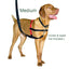 Halti No Pull Dog Harness Medium