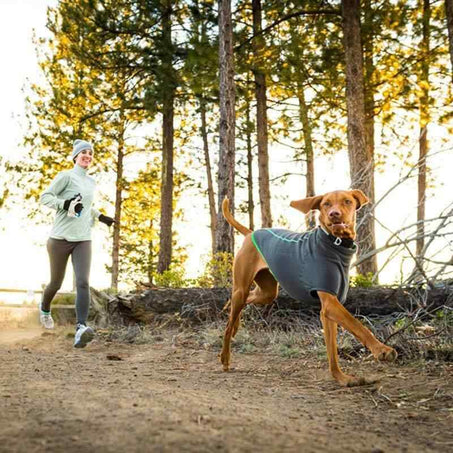 Dog wearing gray coat