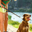 Quick Draw Leash From Ruffwear. Wraps Around Your Dog's Collar!