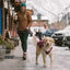 Ruffwear Stumptown Jacket