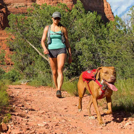 Singletrak Pack Dog Backpack from Ruffwear, Low Profile