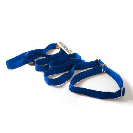 Slip Leash Combination Dog Lead