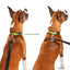 ThunderLeash No Pull Leash / Harness