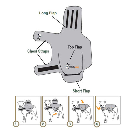 Thundershirt useage illustration