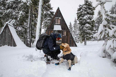 Cloud Chaser Dog Jacket in Action