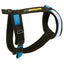 Urban Trail Custom Dog Harness