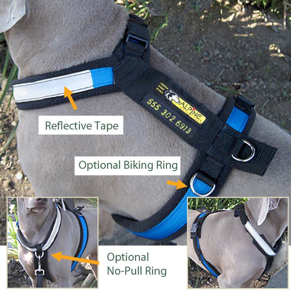 Urban Trail Custom Padded Harness. No-Pull, Backpack, Leash Options!