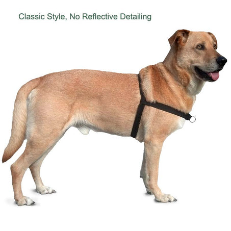 Walk Your Dog with Love Harness Classic